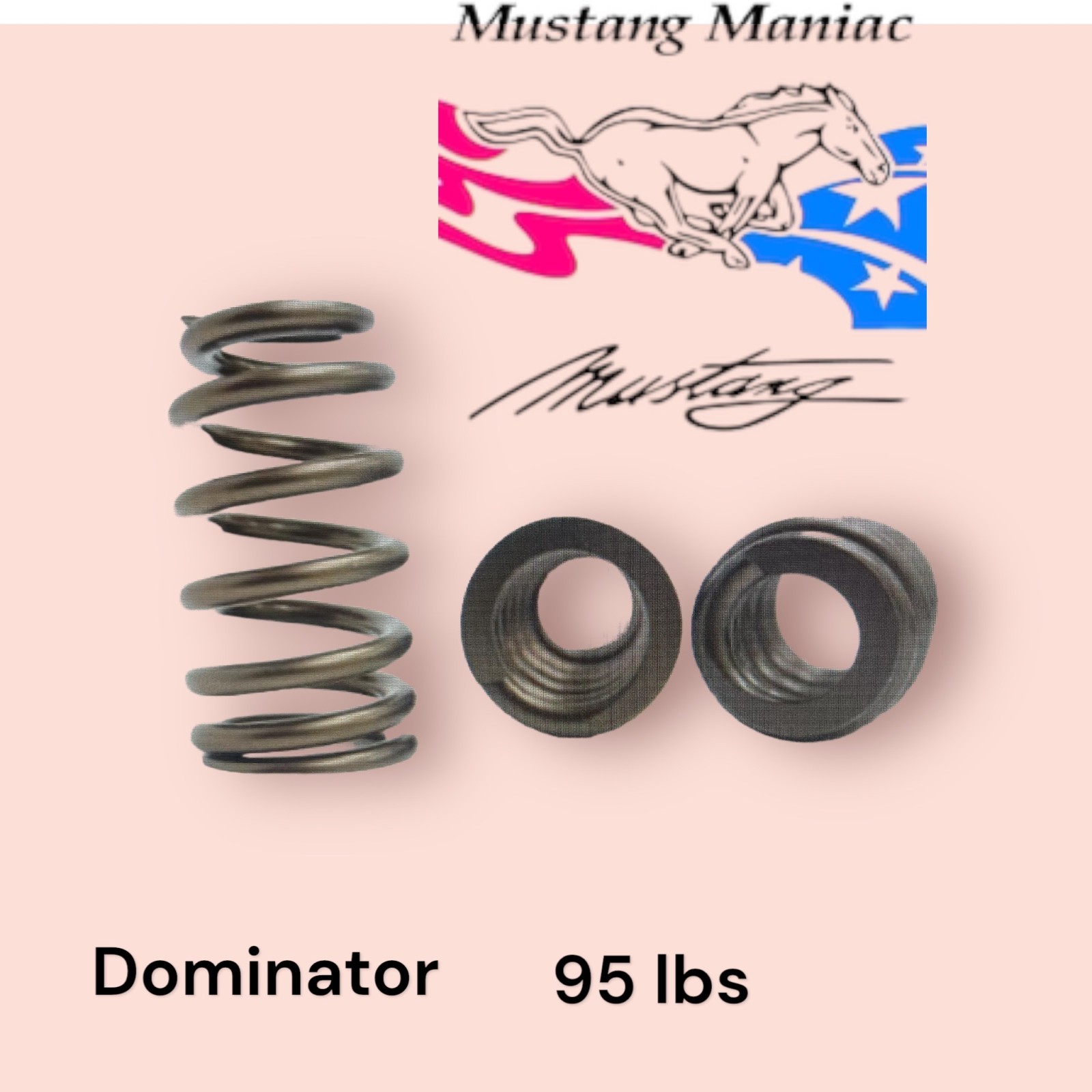 Barra Valve Springs 95lbs Dominator