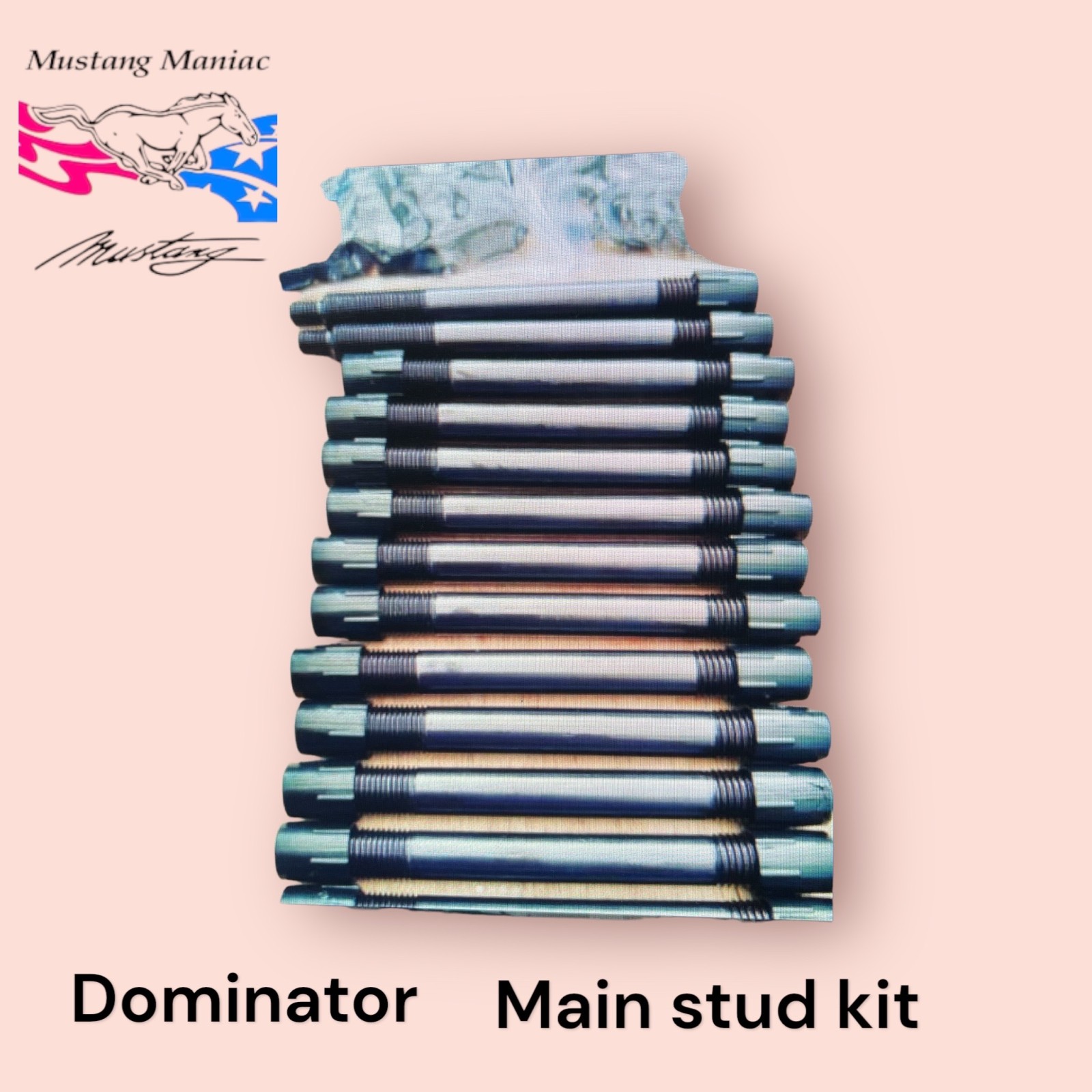 Barra Main Stud Kit Dominator