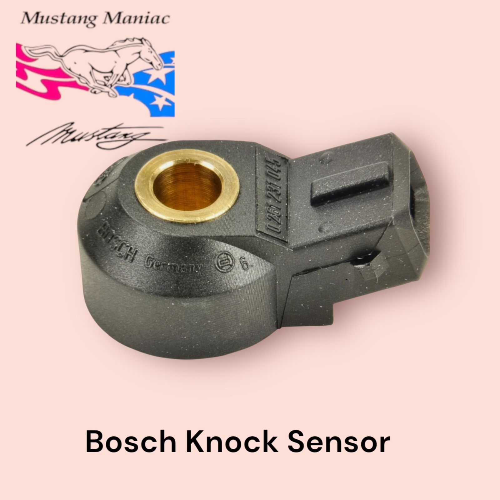 Barra Knock Sensor Bosch