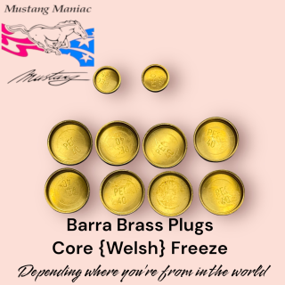 Barra Brass Core (Welsh) Plug Set