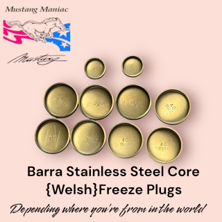 Barra Core Welsh Freeze Plug Set SS