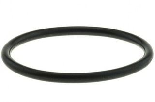 96-11 Water Outlet Seal